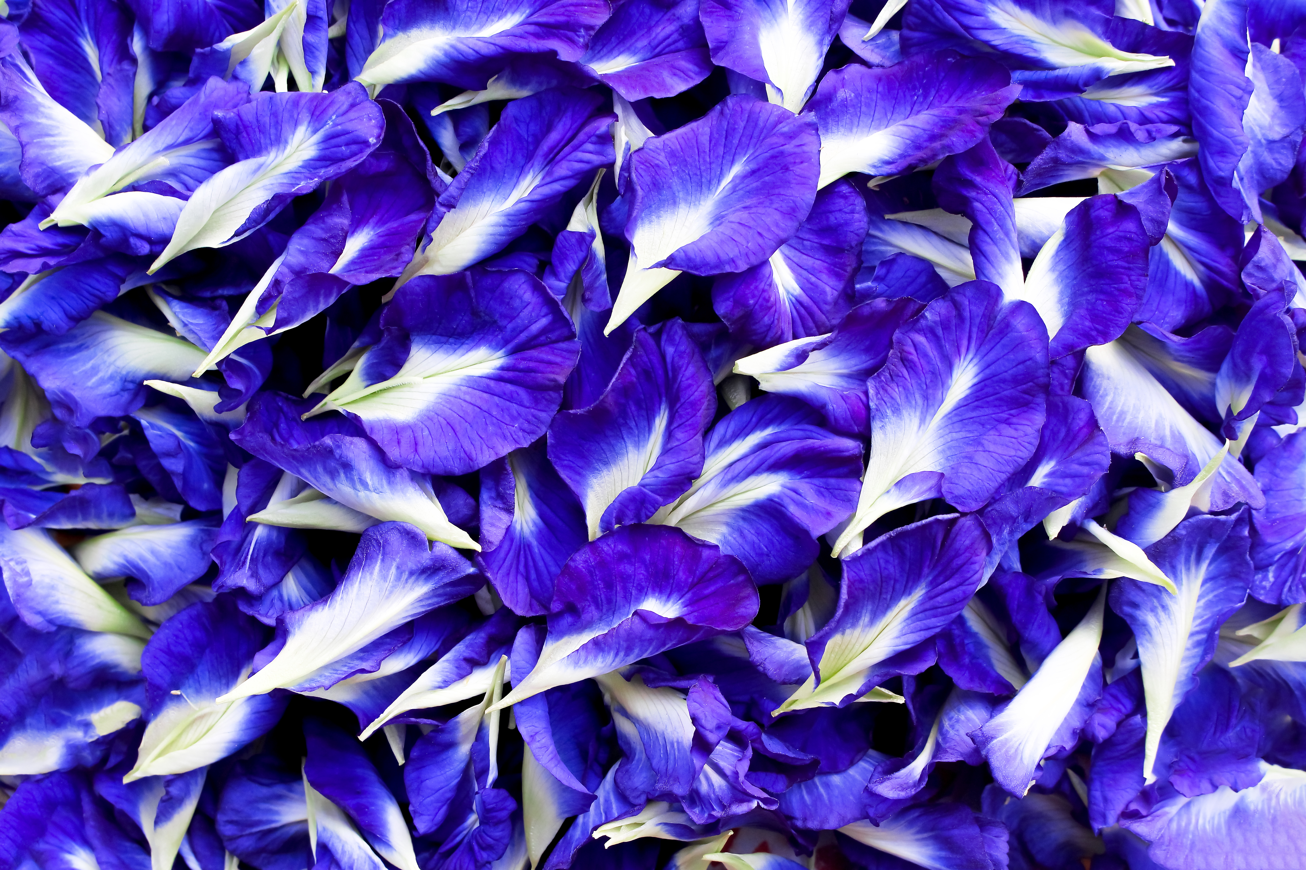 Blue background image