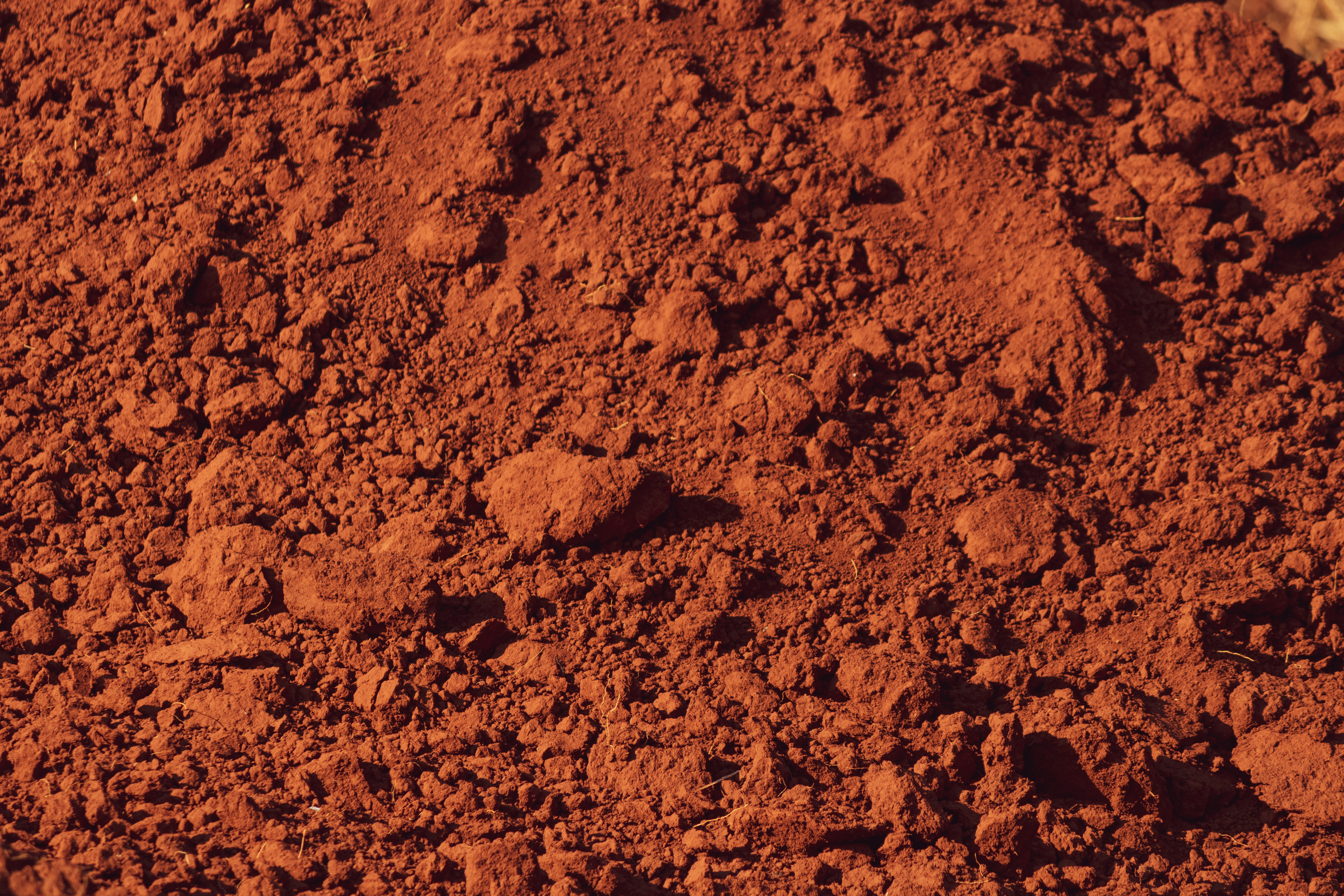 Maroon background image