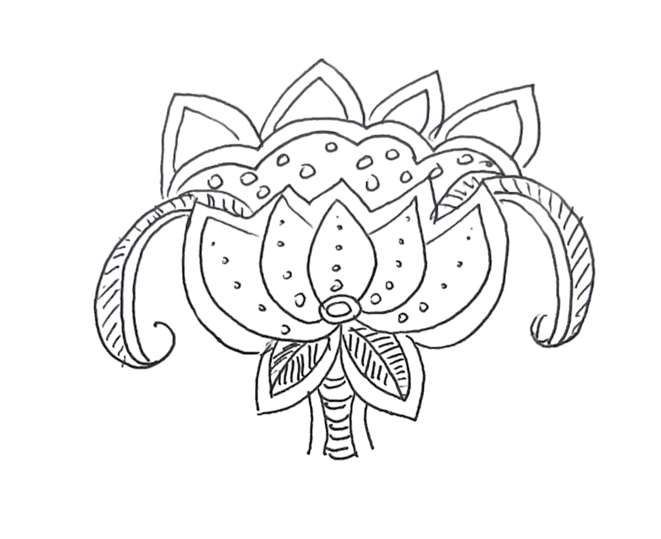 Lotus drawing